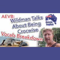 AE 276.2 - AEVB: Wildman Talks About Being Crocwise - Vocab Breakdown