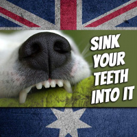 AE 467 - Expression: Sink Your Teeth into It