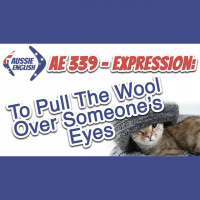 AE 339 - Expression: To Pull The Wool Over Someones Eyes