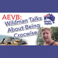 AE 276.1 - AEVB: Wildman Talks About Being Crocwise