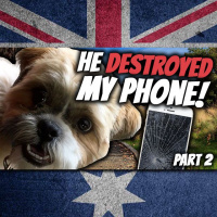 AE 438 - Vlog: He Destroyed My Phone - Part 2