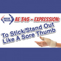 AE 345 - Expressions: To Stick/Stand Out Like A Sore Thumb