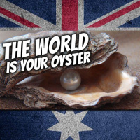 AE 491 - Expression: The World Is Your Oyster