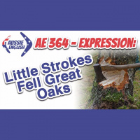 AE 364 - Expression: Little Strokes Fell Great Oaks