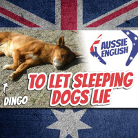 AE 409 - Expression: To Let Sleeping Dogs Lie