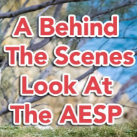 AE 270: A Behind The Scenes Look At The AESP