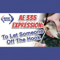 AE 335 - Expression: To Let Someone Off The Hook