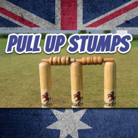 AE 462 - Expression: Pull Up Stumps