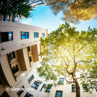 Rebuilding for Climate: Successful City Strategies