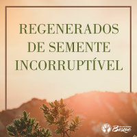 Regenerados de semente incorruptível