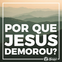 Por que Jesus demorou?