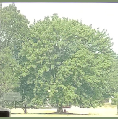 Inappropriate Conversations