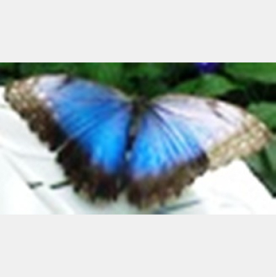 Inappropriate Conversations