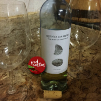 Ep. 22 - Bucelas, a região perdida