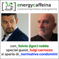 11 - LA NORMATIVA DEI CONDOMINI.