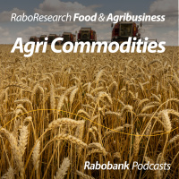 January 2024 WASDE: Disciplined consumers are rewarded