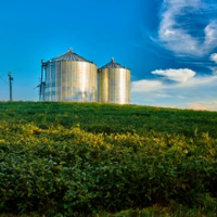 September WASDE: USDA’s Struggle Session