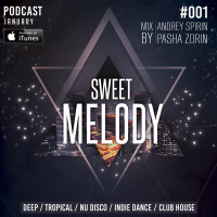 ANDREY SPIRIN  PASHA ZORIN - SWEET MELODY PODCAST #001 JANUARY