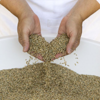 S1E04 Nan Kohler from Grist and Toll (Pasadena,CA) teaches us about artisan flour milling