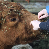S1E03 Jeff Miller from Diamond Mountain Ranch