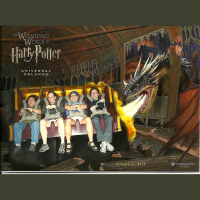 Stupid Nerd #42: Wizarding World of Harry Potter