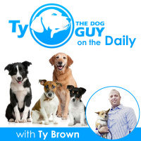 Nosing Around: Tips for Engaging the Injured Dog