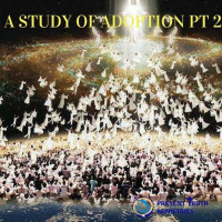 A Study of Adoption Part 2
