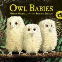 Episode 143 - Owl Babies