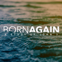 A Light in the Darkness