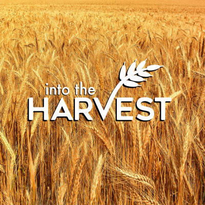 Into The Harvest
