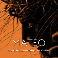 Mateo 19