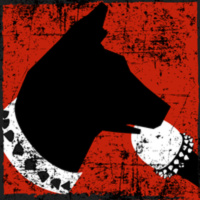 Barrio Canino vol.230 - 20180202 - Rojava Azadi: la revolución silenciada del confederalismo democrático en Kurdistán