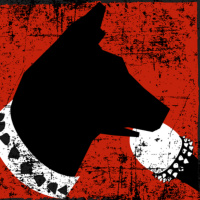 Barrio Canino vol.312 - Gritos en las paredes: artivismo en el espacio público