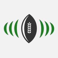 Piffles Sports Nation - Piffles Sports Nation - Episode 4