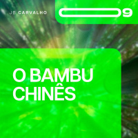 #009 - O Bambu Chinês - Promessas Nossas de cada dia - JB Carvalho