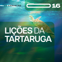 #016 - A Lição da Tartaruga - Promessas Nossas de cada dia - JB Carvalho