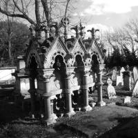 #452 - Edge Of Paradise, Graveripper, Hæresis, Mutated Infection  Wode