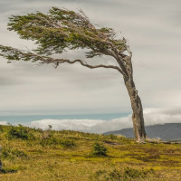 #105 - Spectral Wound, Windswept, Nexus  Nacht Und Gnosis