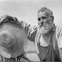 #337 - Botanist, Disimperium, Disfuneral, Massacre  Taake