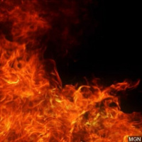 #161 - Fekal Vomering, Inculter, Worm  Cardinal Maniac