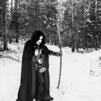 #412 - Guerro Total, Hesperia, Moondark, Solum  Swedish Bison