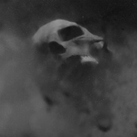 #291 - Deathsiege, Hadopelagyal, Nordjevel, Norna  Umbra Conscientia