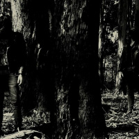 #349 - Black Wound, Fardeaux, Fossilization, Imperishable  Upon Stone