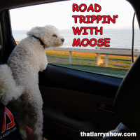 Episode 420: Road Trippin With Moose