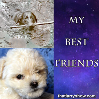 Episode 312: My Best Friends
