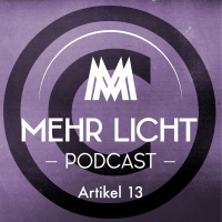 ml006 – Artikel 13