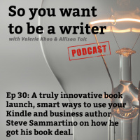 WRITER 030: We talk to business author Sam Sammartino on his new book The Great Fragmentation
