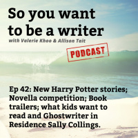 WRITER 042: We talk to ghostwriter Sally Collings, author of The Long Road to Overnight Success