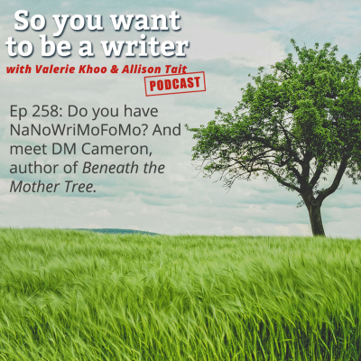 So You Want To Be A Writer With Valerie Khoo And Allison Tait: Australian Writers Centre Podcast