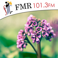 The Garden Chat with Sandy Munro - 11 Oct 2020